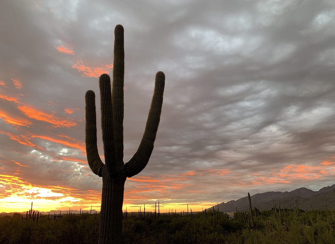 About Our Agency - Silhouette of a Tall Cactus on an Open Field in Tucson Arizona Against a Cloudy Sunset Sky