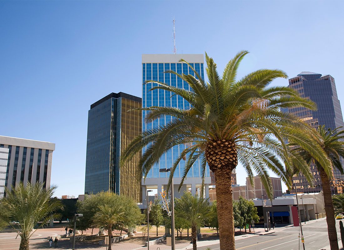 Business Insurance - Closeup View of a Palm Tree in Downtown Tucson Arizona with Modern Glass Commercial Buildings Against a Bright Blue Sky in the Background